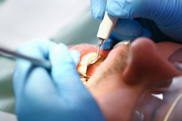 Best Urgent Tooth Repair  in New Wilmington, PA